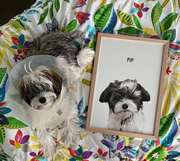 Load image into Gallery viewer, Framed pet portrait