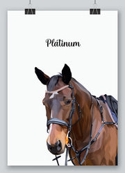 Load image into Gallery viewer, Custom horse portrait