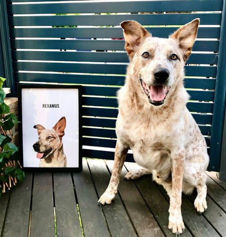Spotted dog portrait