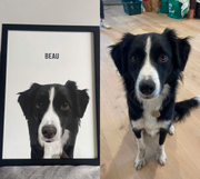 Load image into Gallery viewer, Framed pet portrait
