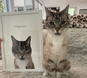 Load image into Gallery viewer, Framed pet portrait
